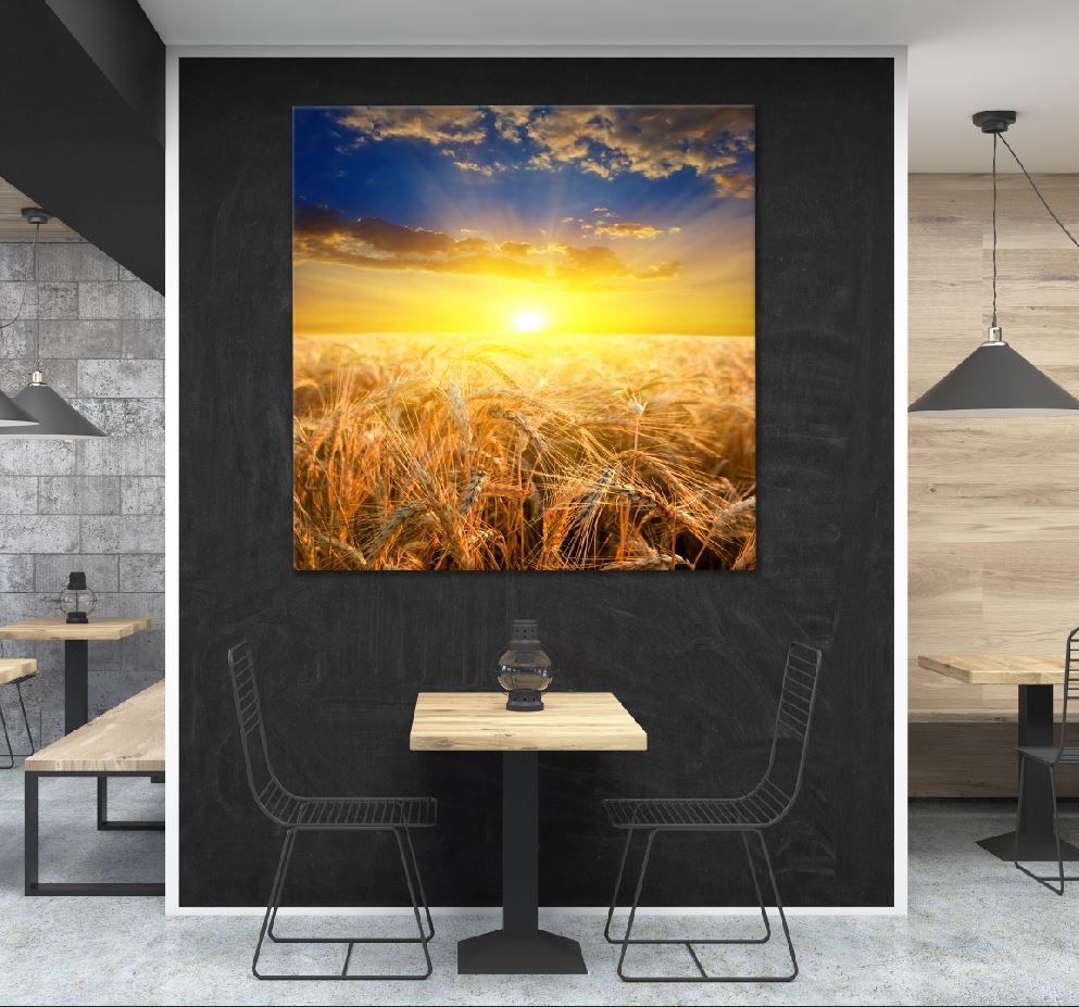 Square Canvas Sunrise Wheat Field Scenery Photograph High Quality Print 100% Australian Made