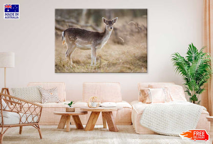 Winter Deer in Snow Field Photograph Print 100% Australian Made