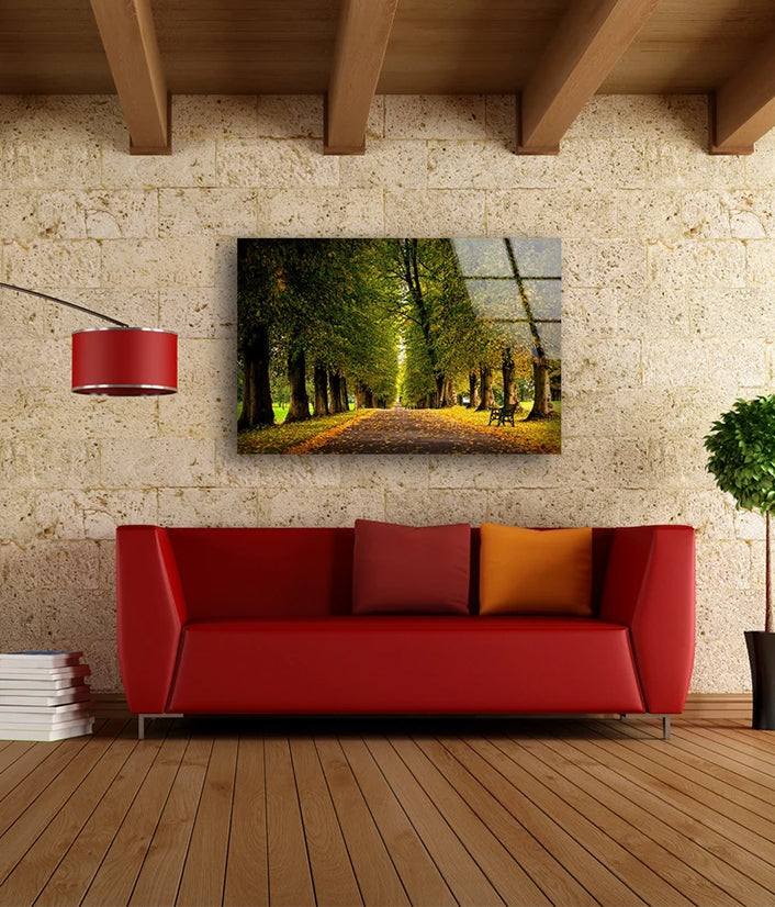 Trees Along Road Acrylic Glass Print Tempered Glass Wall Art 100% Made in Australia Ready to Hang