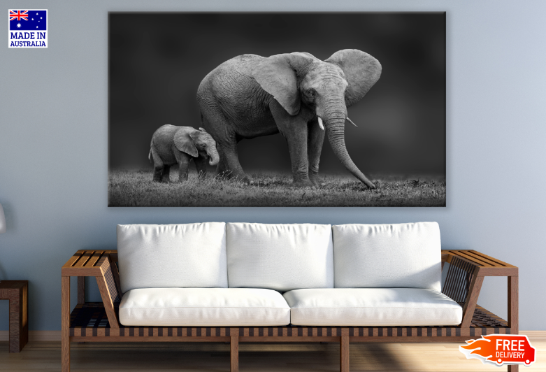 Elephant Herd B&W Photograph Print 100% Australian Made