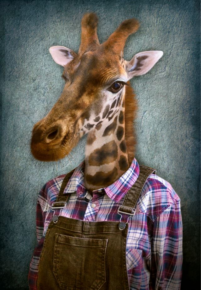 Giraffe with Clothes Painting Home Decor Premium Quality Poster Print Choose Your Sizes