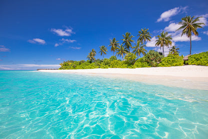 Sandy Tropical Sea & Palm Trees Photograph Print 100% Australian Made
