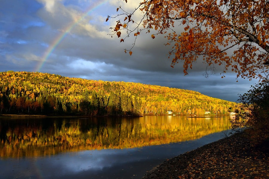 Rainbow & Autumn Trees with Lake View Photograph Print 100% Australian Made