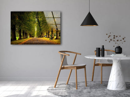 Trees Along Road Acrylic Glass Print Tempered Glass Wall Art 100% Made in Australia Ready to Hang