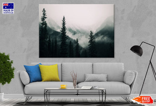 Tall Trees & Mountains with Fog Photograph Print 100% Australian Made