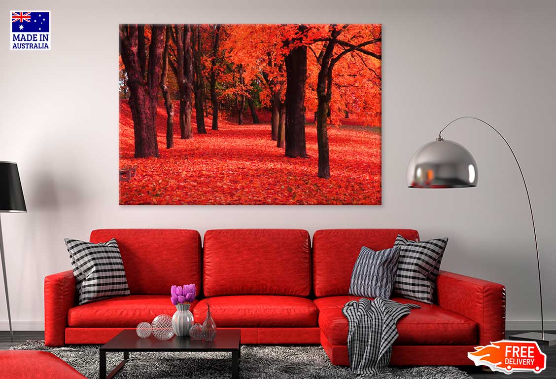 Red Autumn Trees & Path Scenery View Photograph Print 100% Australian Made