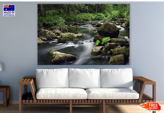Green Moss on Rocks in River Forest Photograph Print 100% Australian Made