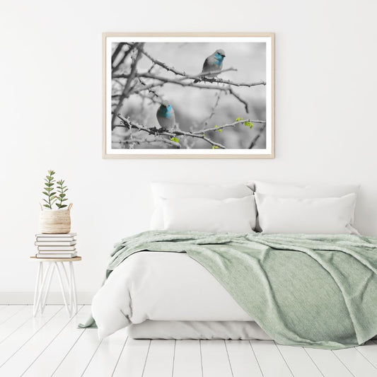 Small Birds on a Tree Photograph Home Decor Premium Quality Poster Print Choose Your Sizes