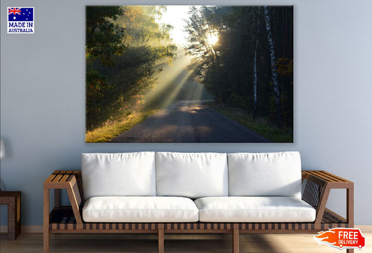 Sun Rays on the Road in Forest Photograph Print 100% Australian Made