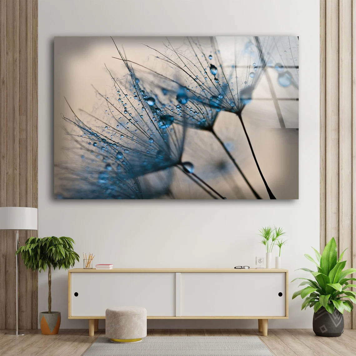 Dandelion Flowers with Waterdrops Photograph Acrylic Glass Print Tempered Glass Wall Art 100% Made in Australia Ready to Hang