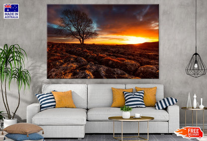 Tree at Sunset Scenery View Photograph Print 100% Australian Made