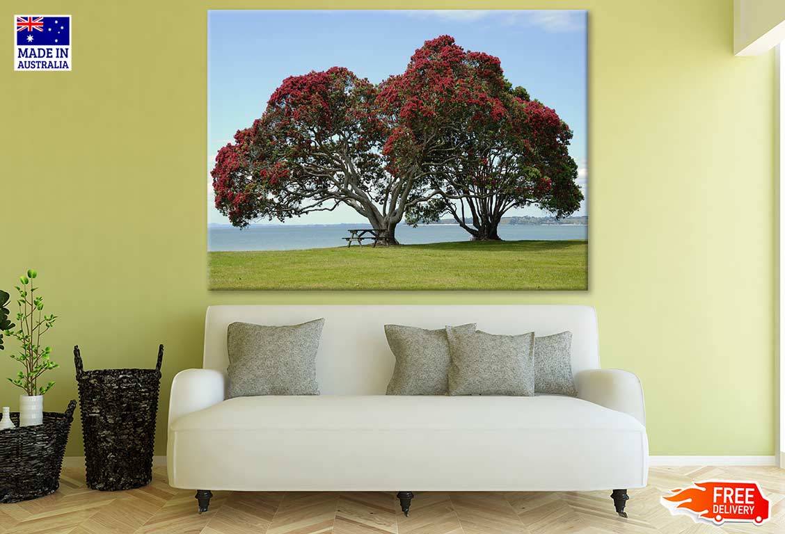 Huge Tree & Bench Near Sea Photograph Print 100% Australian Made