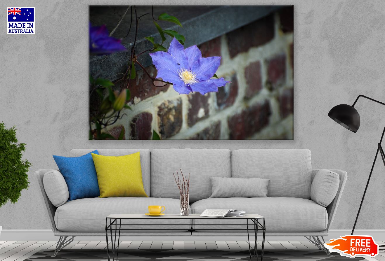 Blue Clematis Flower Closeup Photograph Print 100% Australian Made