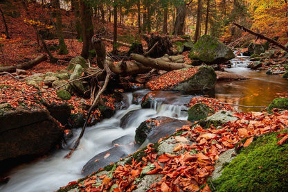 Mountain River & Autumn Leaves Photograph Print 100% Australian Made