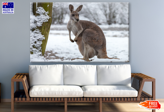 Kangaroo on a Snow Ground Photograph Print 100% Australian Made