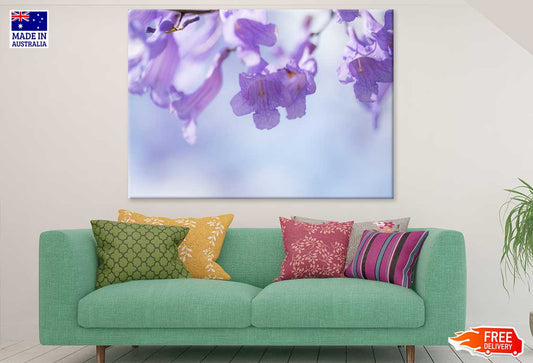 Jacaranda Flowers Closeup View Photograph Print 100% Australian Made