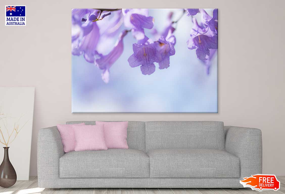 Jacaranda Flowers Closeup View Photograph Print 100% Australian Made