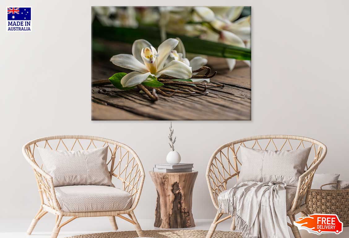 Lily Plant on Table Closeup View Photograph Print 100% Australian Made