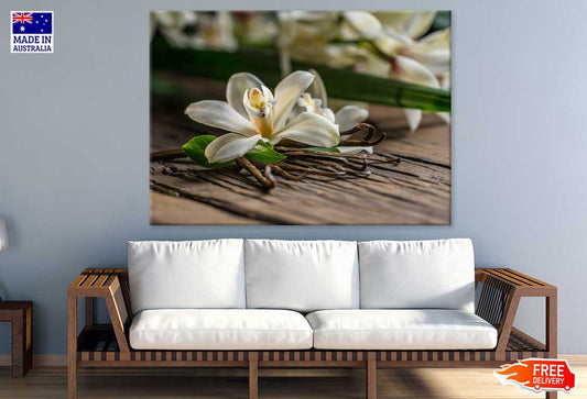 Lily Plant on Table Closeup View Photograph Print 100% Australian Made