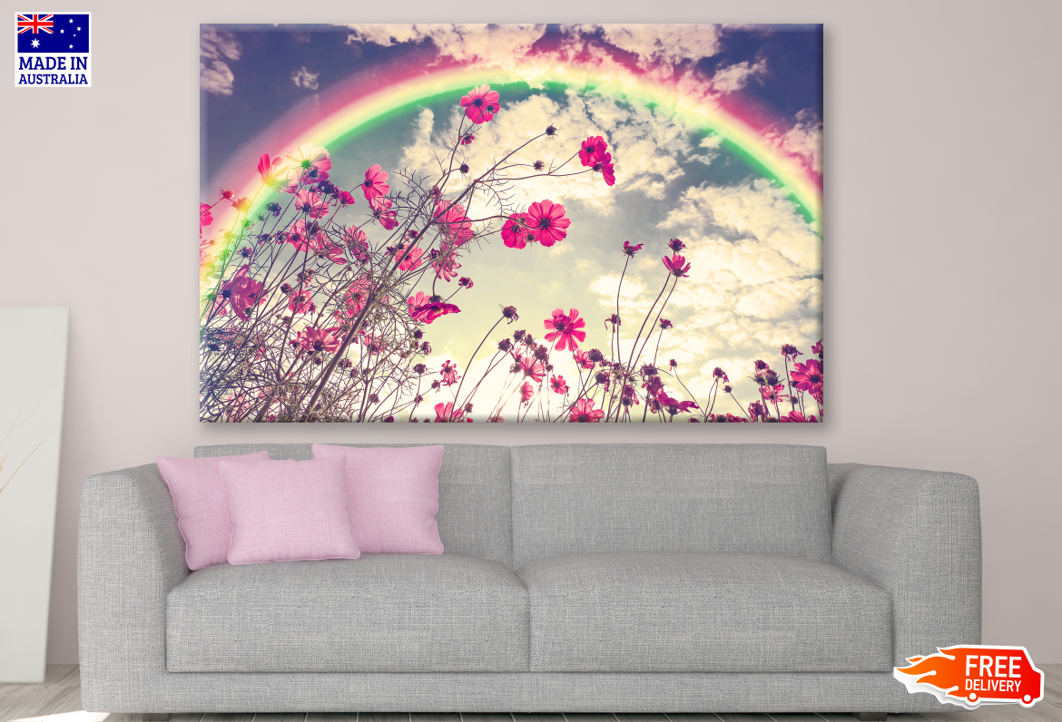 Beautiful Cosmos Flowers in Garden Rainbow Photograph Print 100% Australian Made