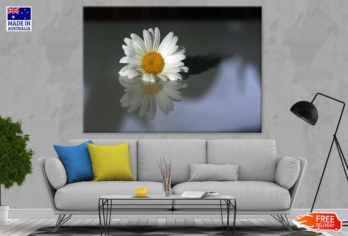 White Daisy Flower Reflection View Photograph Print 100% Australian Made