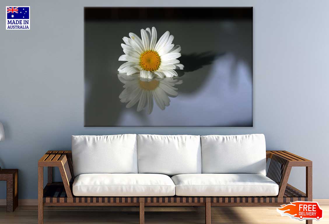White Daisy Flower Reflection View Photograph Print 100% Australian Made