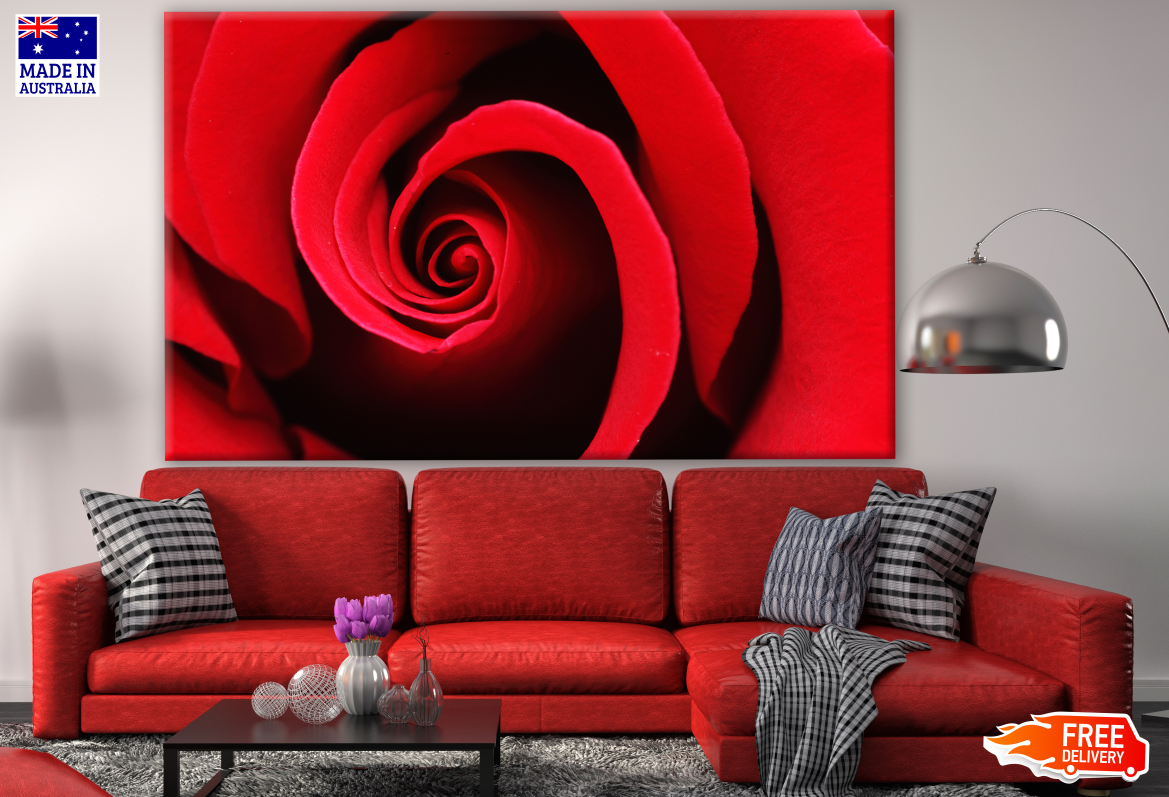 Red Rose Close up Photograph Print 100% Australian Made