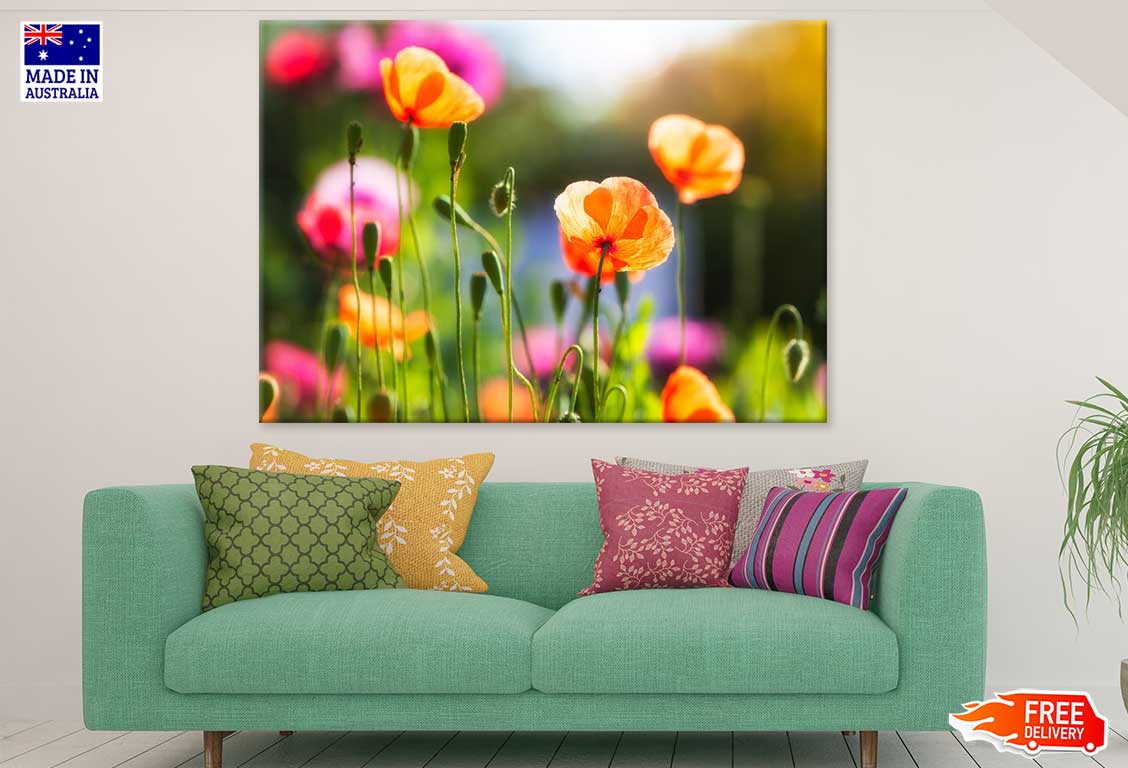 Orange Poppy Flowers Plant View Photograph Print 100% Australian Made