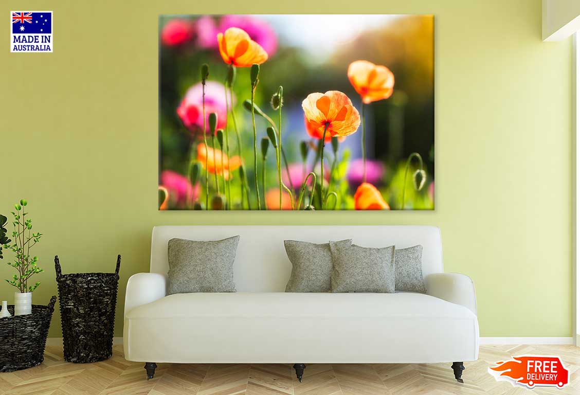Orange Poppy Flowers Plant View Photograph Print 100% Australian Made