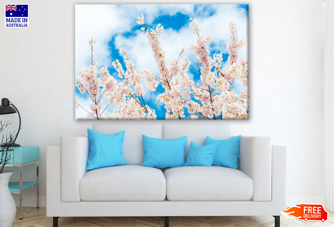 Cherry Blossom Blooming Tree Photograph Print 100% Australian Made