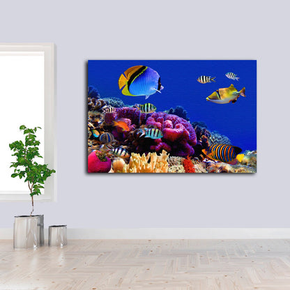 Underwater Marine Life Photograph Acrylic Glass Print Tempered Glass Wall Art 100% Made in Australia Ready to Hang