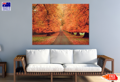 Autumn Trees & Walking Park View Print 100% Australian Made