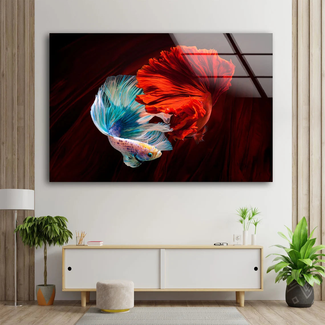 Red & White Fighter Fish Photograph Acrylic Glass Print Tempered Glass Wall Art 100% Made in Australia Ready to Hang