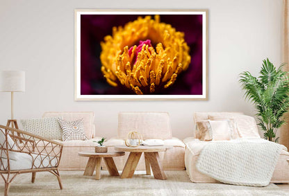 Yellow Peony Closeup View Photograph Home Decor Premium Quality Poster Print Choose Your Sizes