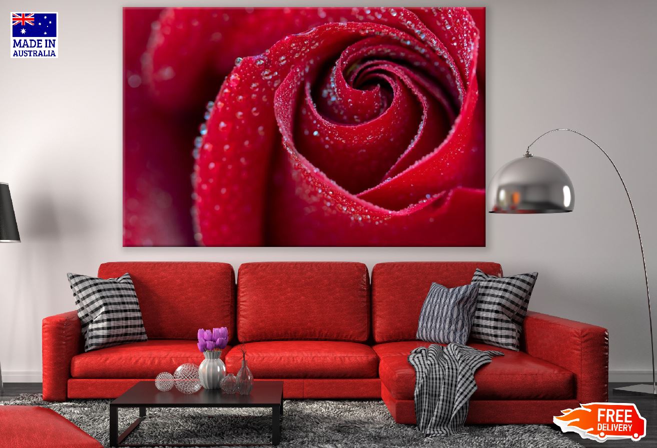 Red Rose Petals Closeup Photograph Print 100% Australian Made