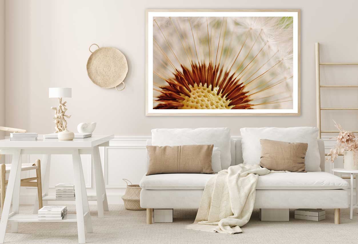 Purple Aster Flower Closeup View Home Decor Premium Quality Poster Print Choose Your Sizes