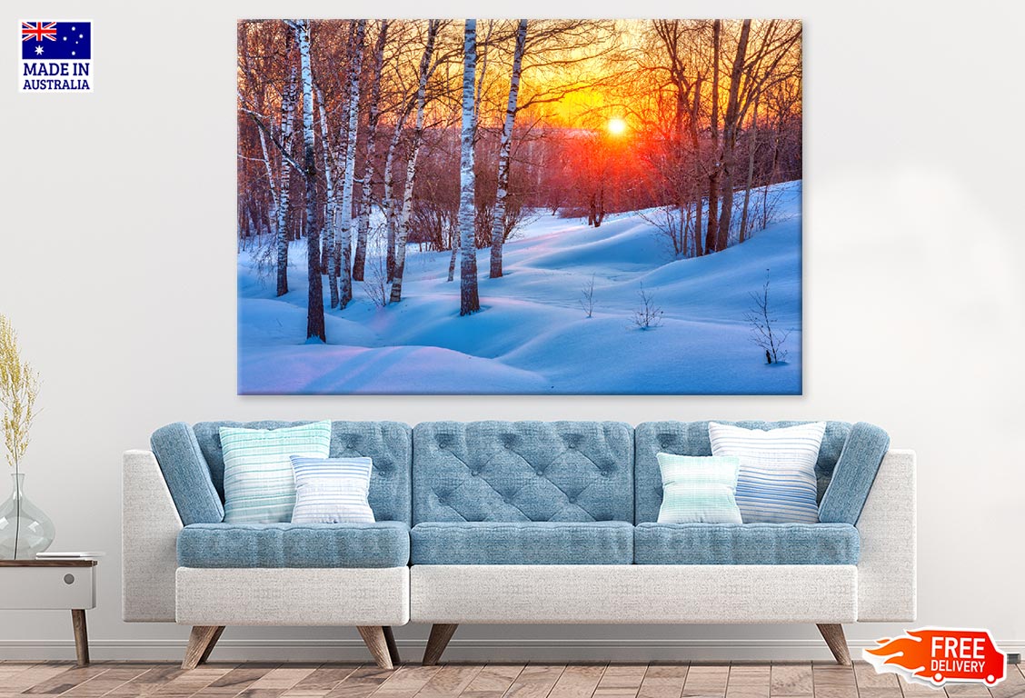 Tree on Snow Covered Ground Photograph Print 100% Australian Made