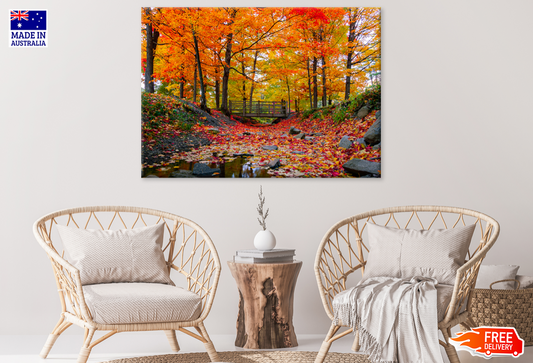 Autumn Trees & Bench Photograph Print 100% Australian Made