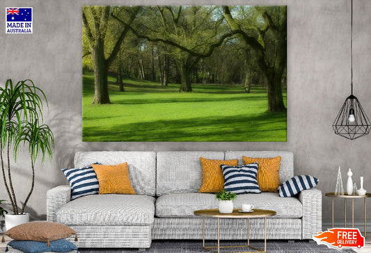 Green Grass & Trees Park Photograph Print 100% Australian Made