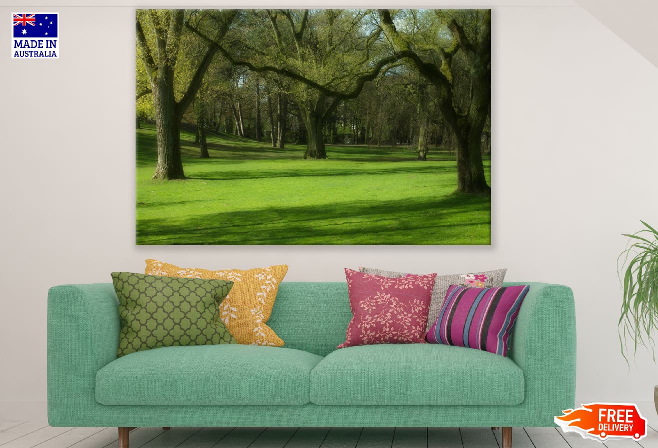 Green Grass & Trees Park Photograph Print 100% Australian Made