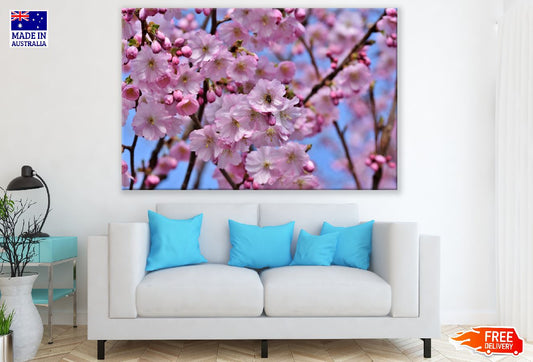 Pink Cherry Blossom Flowers & Branches Photograph Print 100% Australian Made