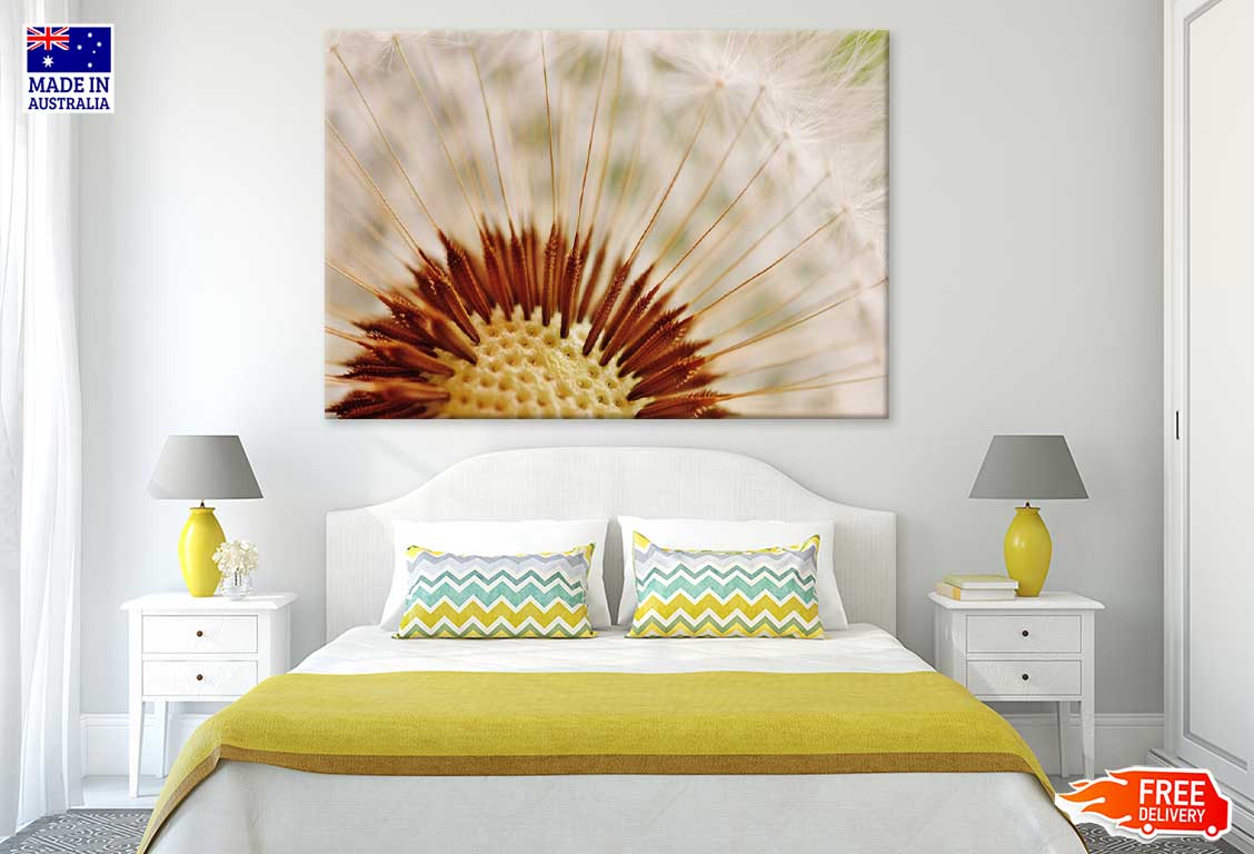 Dandelion Macro View Photograph Print 100% Australian Made