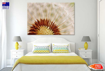 Dandelion Macro View Photograph Print 100% Australian Made
