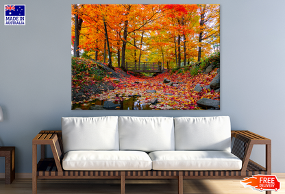 Autumn Trees & Bench Photograph Print 100% Australian Made