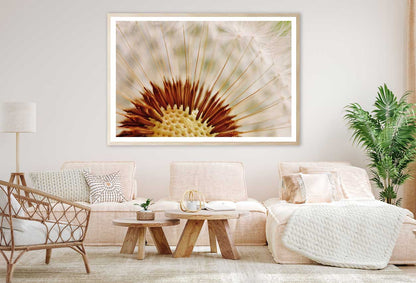 Purple Aster Flower Closeup View Home Decor Premium Quality Poster Print Choose Your Sizes