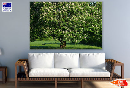 Chestnut Tree View Photograph Print 100% Australian Made