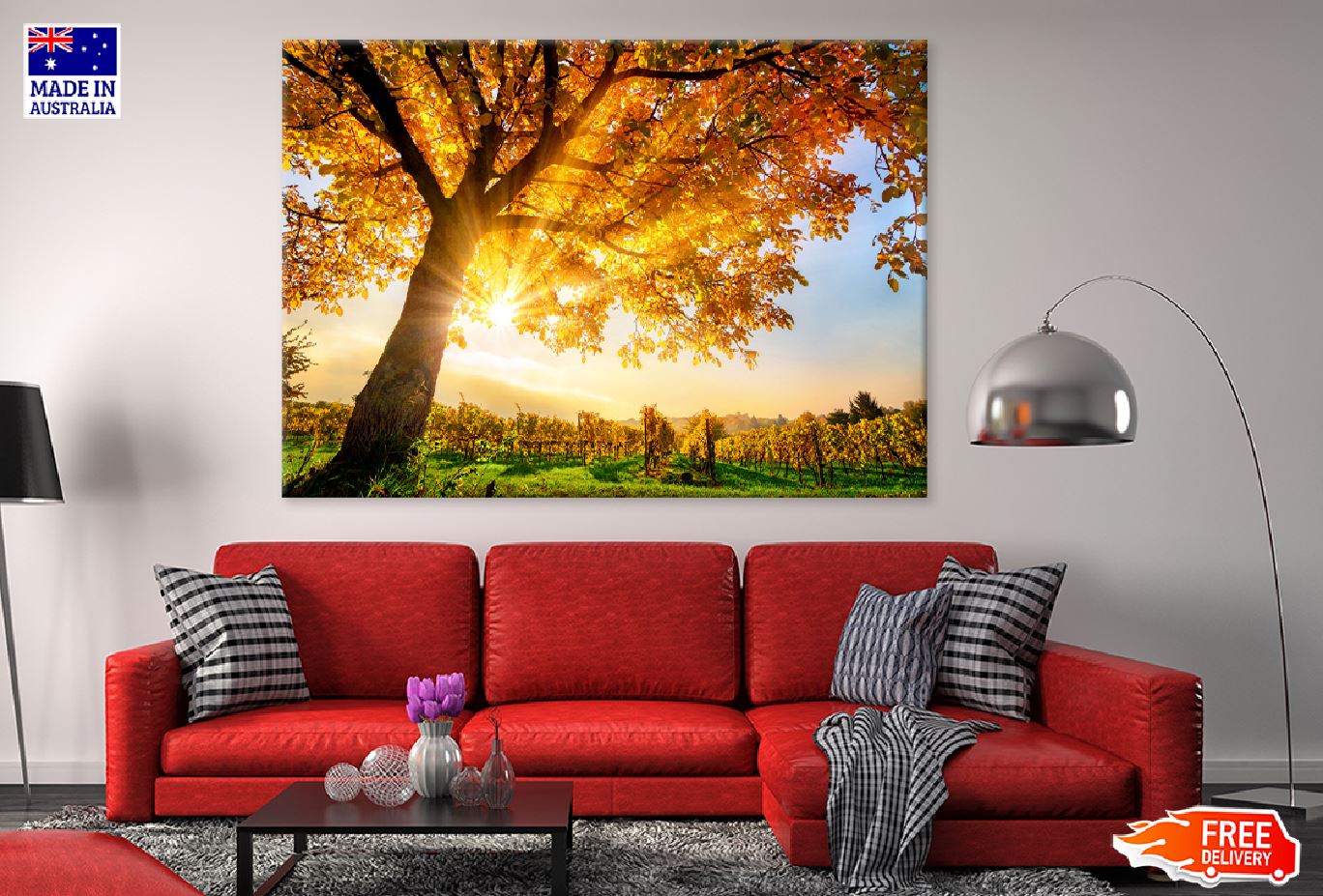 Sunshine Through Autumn Tree View Photograph Print 100% Australian Made