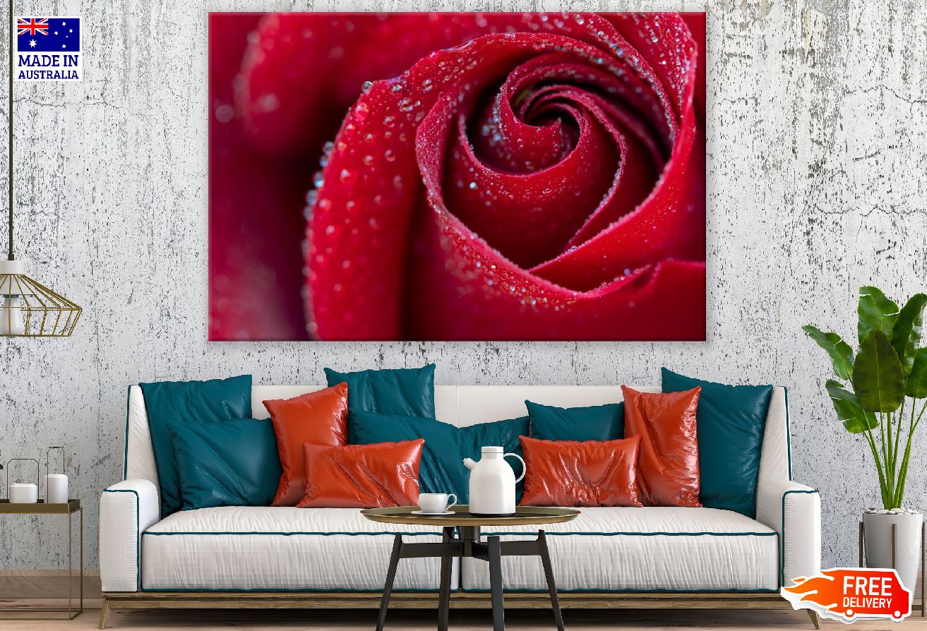 Red Rose Petals Closeup Photograph Print 100% Australian Made