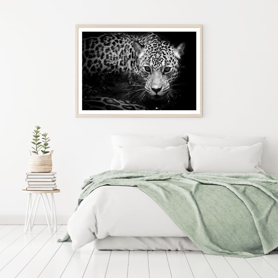 Leopard B&W Photograph Home Decor Premium Quality Poster Print Choose Your Sizes