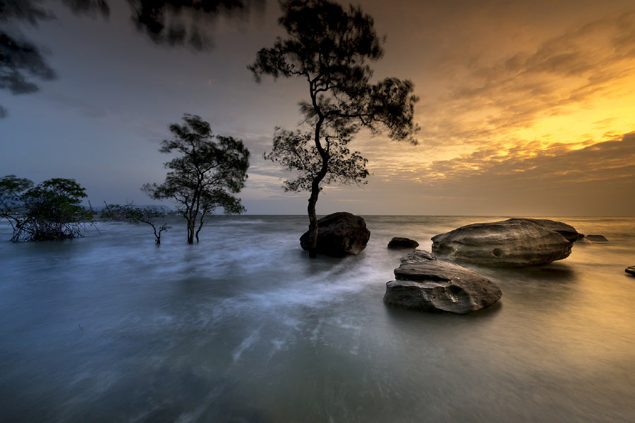 Rocks & Trees on Lake Sunset View Photograph Print 100% Australian Made